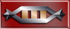Captain\'s Merit Award